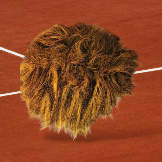 Sports Wigs